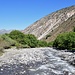 Walnuss- und Wildobstwälder prägen den Talgrund der Vorgebirge.