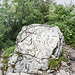 Ein alter Grenzstein auf dem Kleinen Barmstein.