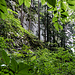 ... schöne Waldpassage.