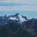 Panorama di vetta: zoom Mont Dolent.