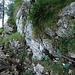 auf dem Gitzitritt