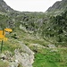 Dall'Alpe Asinello al pianoro in cui si trova il bivacco Lamè ci sono circa 600 metri di muro, qui se ne vede la metà circa.