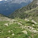 È ora di scendere, l'Alpe Asinello è 600 metri più in basso, se non avessi questo zainetto sulle spalle mi sentirei meglio!