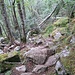 Es geht gleich steil über Steine und Wurzeln bergauf, hier ein Blick zurück. So sehen in Norwegen "leichte" Wege aus.