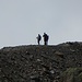 Das war eine Punktlandung, ich bin gerade an der Vernagthütte zurück  und sehe meine drei Tourenmitglieder incl. Bergführer die letzten Meter über den Moränengrat zur Hütte laufen. Sie haben eine Bombenzeit hingelegt, Respekt!