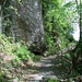zahlreiche hübsche Wald- und Felspassagen zieren den offiziellen Wander-, später Bergweg über Alp Zingel zur Rigi