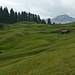 zauberhafte Marlanwiese