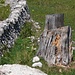 Eh oui... les murs de pierre du Jura