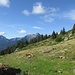 Alpe di Vignone.