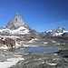 Blick aus der neuen 3S-Bahn zu Theodulgletschersee und Matterhorn