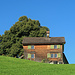 ein Appenzeller Bauernhaus mit schönster Aussicht nach Gais hinunter.