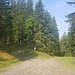 Geradeaus ins Laintal - links zum HImbergereck (verboten)