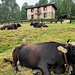 Monterecchio