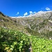 Dall'Alpe Camera