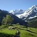 Alpi Ticinesi