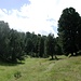Parco naturalistico del Lucomagno.
