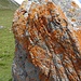 Der merkwürdige Felsblock beim Eintritt in den Nationalpark - Herkunft bisher ungewiss