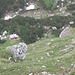 Im Abstieg: Blick hinunter auf Jagdhütte und Paß Trischübel.