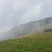 Der Herbst ist da