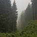 Der Herbst ist da