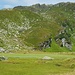 Verlandetes Seelein neben dem Mittleren Wildalmsee 