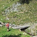 Il pone presso l'Alpe Vallaro.