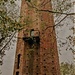 La torre di Corneliano. (foto Fondazione Torre di Corneliano d'Alba ONLUS) 