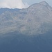 Stielkopf im Detail