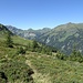 Durch Heidekraut, Heidel-und Rauschbeerensträucher gehts zur Alp Valtnov