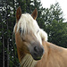 Tolle Frisur, mein lieber Mann!