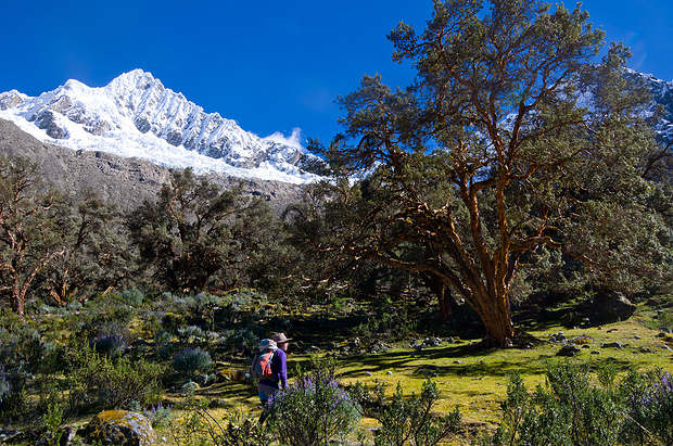 Alpamayo-Basecamp