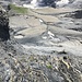 Und rechts hinunter. Der Flysch ist wirklich denkbar bröselig.