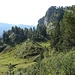kurz vor der Hohganthütte