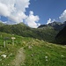 die Alp Sardasca ist erreicht