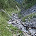"Meine" Aufstiegsrinne. Ganz unten wenige Meter einige Trittspuren, dann weglos. (Siehe Hinweise und Karte am Schluß)