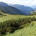 Gelände oberhalb der Loregghütte. In Bildmitte der unscheinbare, bewaldete Schönbichlkopf