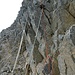 die Seilreste vom Klettersteig kurz oberhalb des Firns
