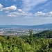 Blick hinab nach Freiburg im Breisgau ( 278m )