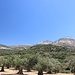 wunderbarer Ausblick von der Panagia Rachidiotissa
