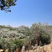 Ausblick nach Süden