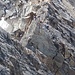 Lagginhorn Südgrat 