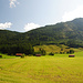 Blick von Niggeln zum Staffel