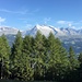 Vue en direction de l'Aletschhorn 