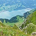 Blick von der Selunkrete hinunter zum Walensee