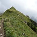 Der Gipfel des Lütispitz hebt sich deutlich vor den Wolken ab