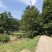 Rašljani - Im oberen Teil des Dorfes startet unsere Wanderung. Zuerst geht's auf der Straße bzw. Piste am Fluss entlang. Rückblick. 