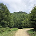 Unterwegs bei Rašljani - Nach dem Ortsausgang bleiben wir noch wenige Minuten auf der Hauptpiste und halten uns am nächsten Abzweig links (grob ostwärts), wo gleich nochmals eine Flussquerung folgt.