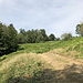 Unterwegs bei Rašljani - Nach dem kleinen Waldstreifen treffen wir wieder auf eine Piste bzw. deutliche Fahrspuren.