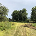 Unterwegs bei Rašljani - Wieder zurück am kleinen Häuschen. Diesmal schwenken wir rechts und dackeln zurück ins Dorf.