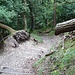 Ausgebauter Weg auf dem Langegg-Grat